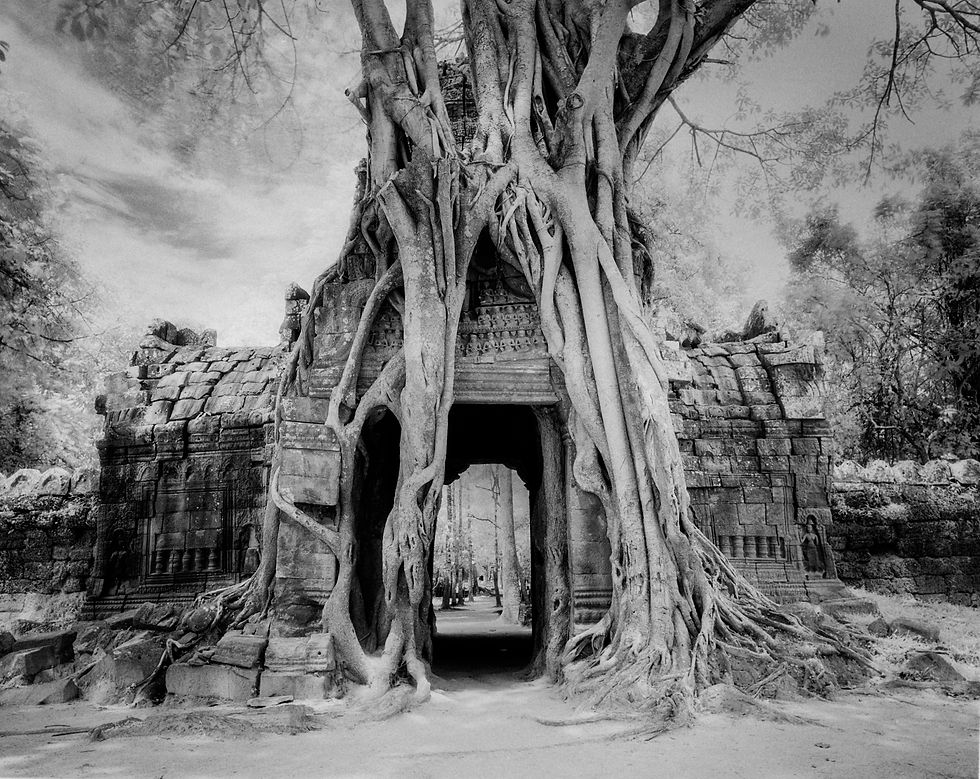 Angkor Thom 1