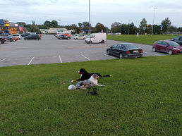 IMG_20210907_195354.jpg