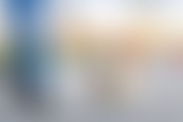 Par un ap pastaigām ar suni!