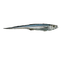 Hake_Hoke.png
