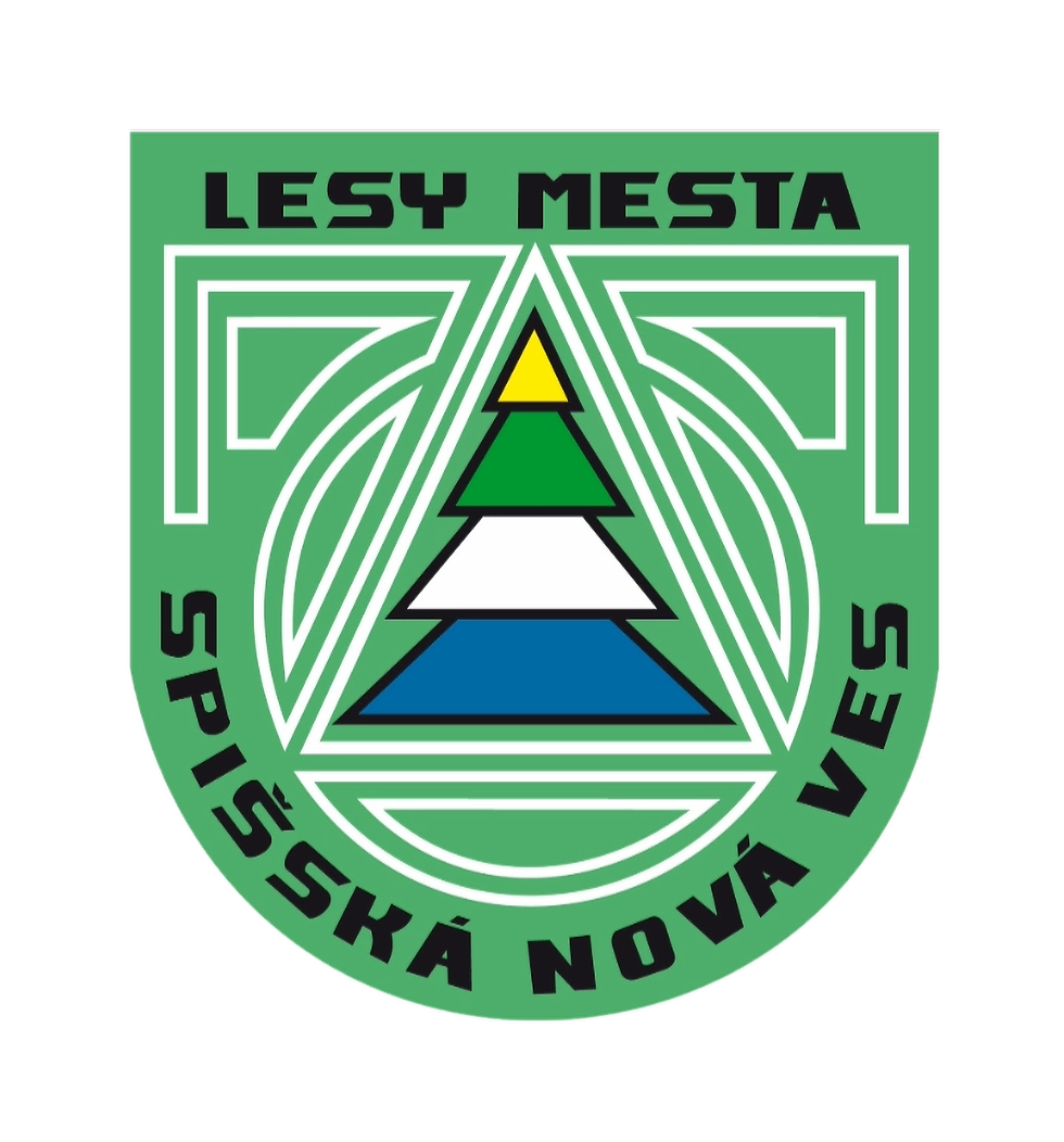logo_lesysnv_edited_edited.png