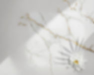 Gemini_Generated_Image_nf2tfnnf2tfnnf2t_edited.jpg
