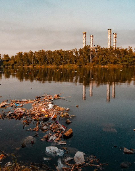 Phase 1 ESAs Uncover Hidden Risks