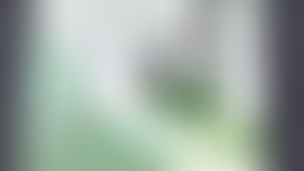 《澳門道教科儀音樂(續篇)》