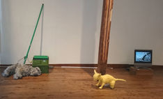 おひねりプロジェクトの報告　堀田千尋展『Clean the house by using dogs 』