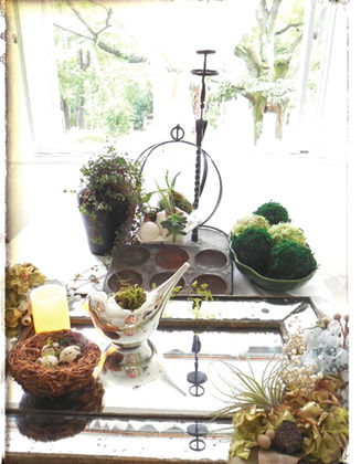 六本木・ビリオン たかはしさわこ 苔玉ワークショップGreen Party Vol.3 2016年7月29日(金)〜2016年7月31日(日)