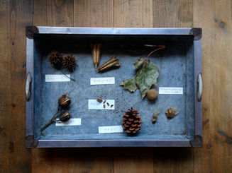 おひねりプロジェクト報告【後藤裕子展】『タネのゆくえ』