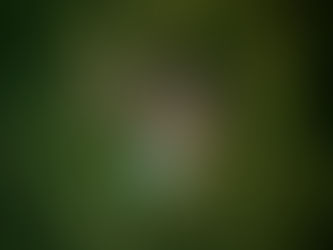 Airbnb Nashville Aerial Photography