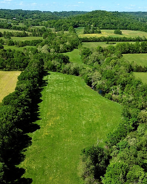 Bell_Buckle_TN_Land_Aerial_Photography_APEX_Drone_Co_edited.jpg
