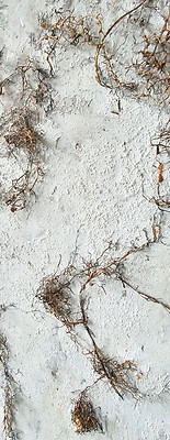 detail van From Roots into Stillness