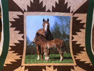 Another beautiful customers quilt...quilted using horse shoe pattern in light brown thread#BlueSprin