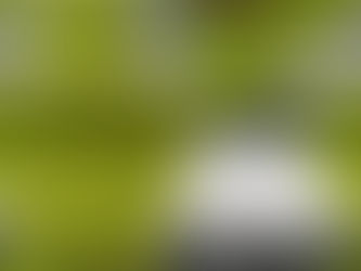 Le tappe per la graduale riapertura delle scuole secondo il Politecnico di Milano