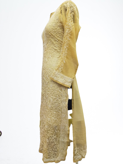 Thumbnail: SRF-Chikankari Fancy kurti