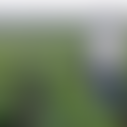 Kamal Kishore Dhiran