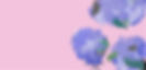 Summer_background_haiku.jpg