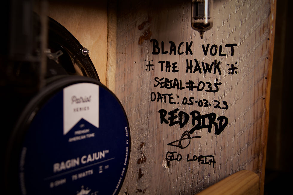 サムネイル： The Hawk #35 "Redbird" | Black Volt Amplification