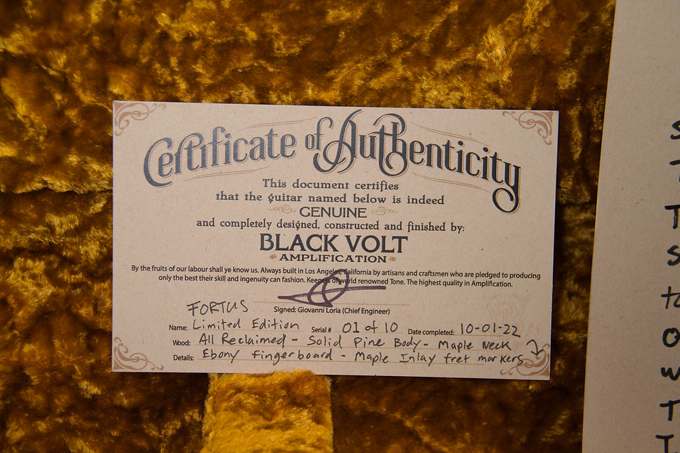 サムネイル： Limited Edition Richard Fortus Custom T-Style (#01/10)