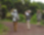 Birdwatching (19) - copie.jpg