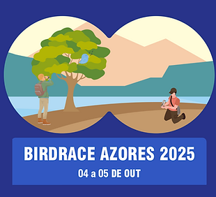 bird_race_2025_imagem.png