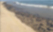 Reportan derrame de hidrocarburo en playas de Paraíso, Tabasco; afecta a pescadores