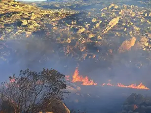 Incendio forestal en Tecate avanza al 15% de control