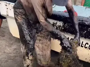 Derrame de hidrocarburo contamina playas de Pajapan y Coatzacoalcos, en Veracruz