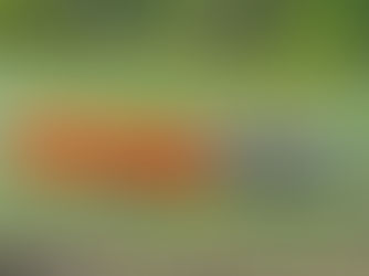 Instala EU 800 kms de un muro flotante en el río Bravo