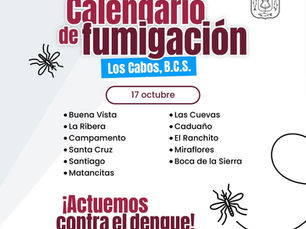 Este viernes, realizarán jornada de fumigación contra el dengue en zona norte de Los Cabos