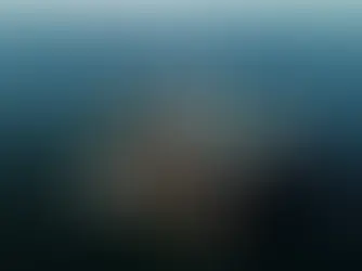 Impone EU embargo comercial contra 21 pesquerías mexicanas por muerte de especies