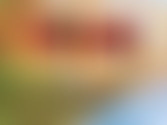 Canadá informó que durante 10 meses ha observado un boicot de facto a los viajes hacia Estados Unidos