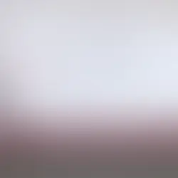 Sheinbaum presenta el "Plan B" de su reforma electoral tras rechazo de diputados