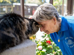 Mujer de 90 años salva a más de 10,000 animales y no piensa jubilarse