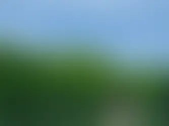 México abre revisión técnica del T-MEC con capítulo ambiental
