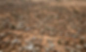Los yihadistas causan una masacre en una aldea de Burkina Faso