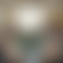 Alista el INE propuesta 'técnica' para reforma electoral