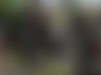 Reforma a Guardia Nacional es aprobada por 19 congresos; ya puede ser declarada constitucional