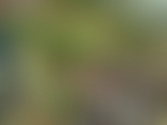 Treinta muertos por inundaciones en el sur de Etiopía