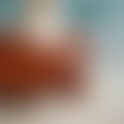 Aplazan entrega de reforma electoral, afirma Monreal