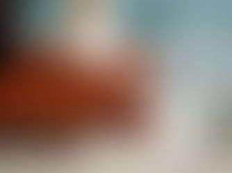 Aplazan entrega de reforma electoral, afirma Monreal