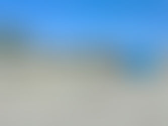 Reportan creación de nueva invasión en arroyo de San José; alcalde se posiciona en contra