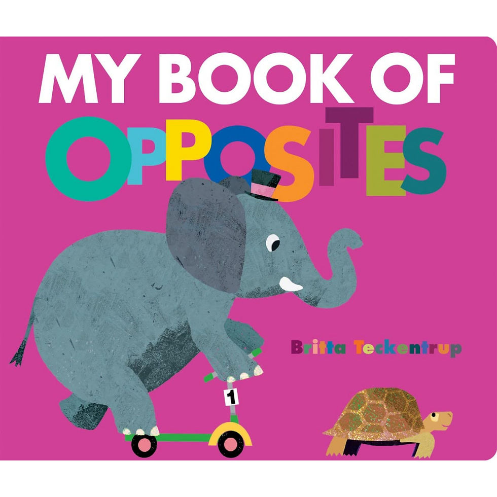 My Book of Opposites