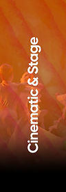 cinematic and stage.jpg