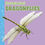 Thumbnail: Fast Facts About Dragonflies
