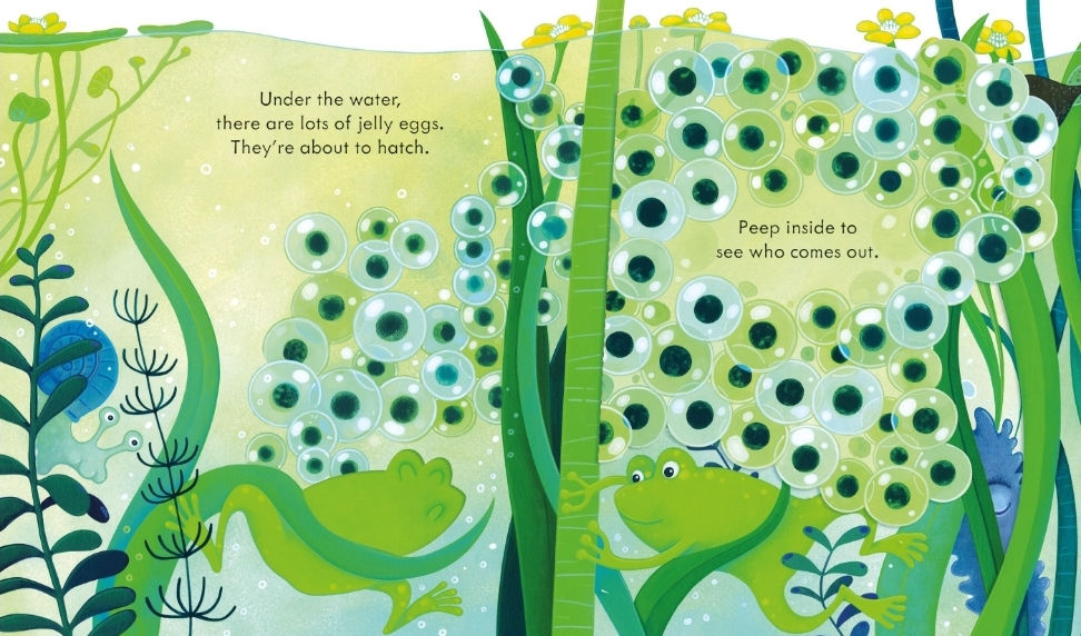 Usborne Peep Inside the Pond