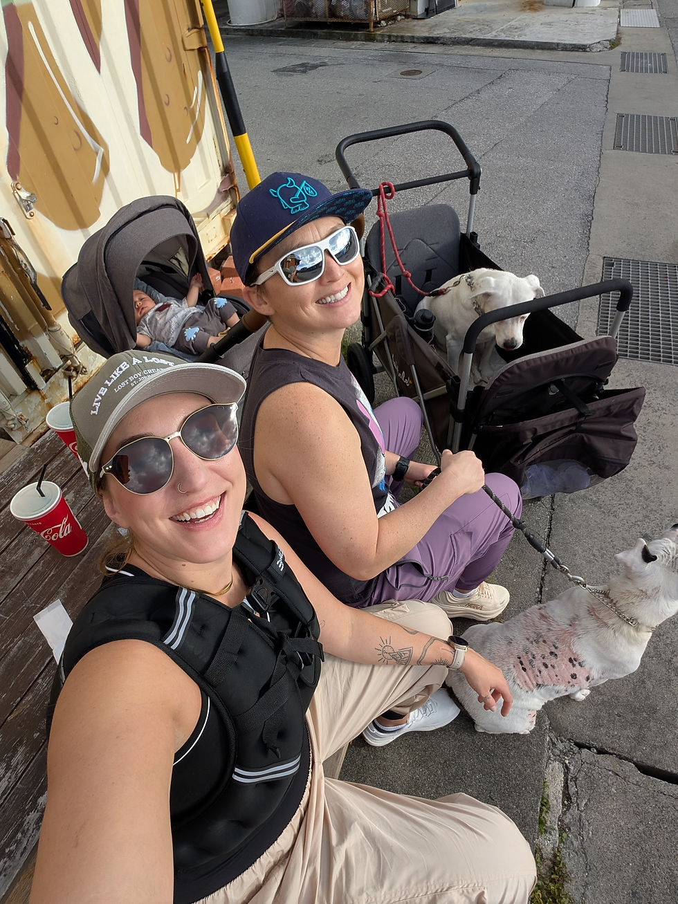 We've upgraded Junior's chariot to a more luxurious ride