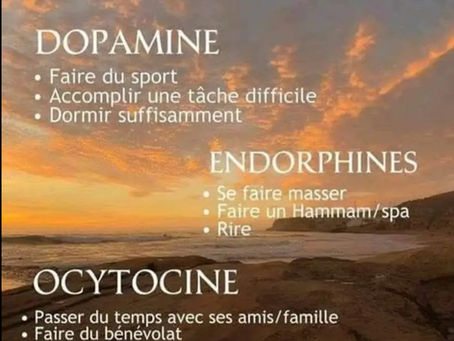 Les 4 hormones de l’Apocalypse (du bonheur)