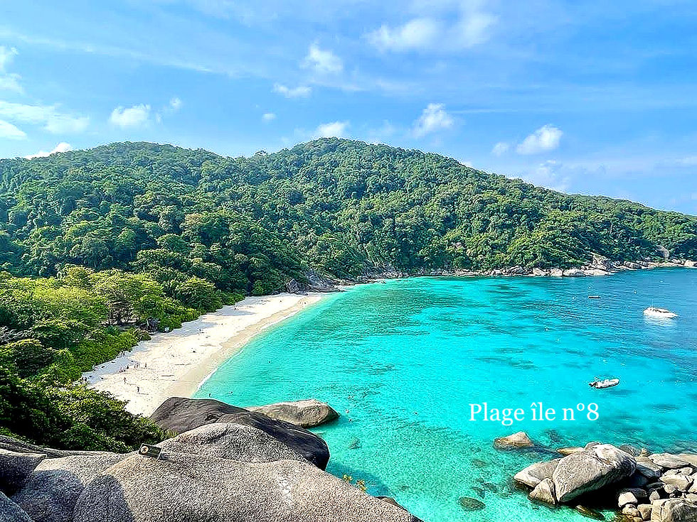 Plage de l ile n 8_edited