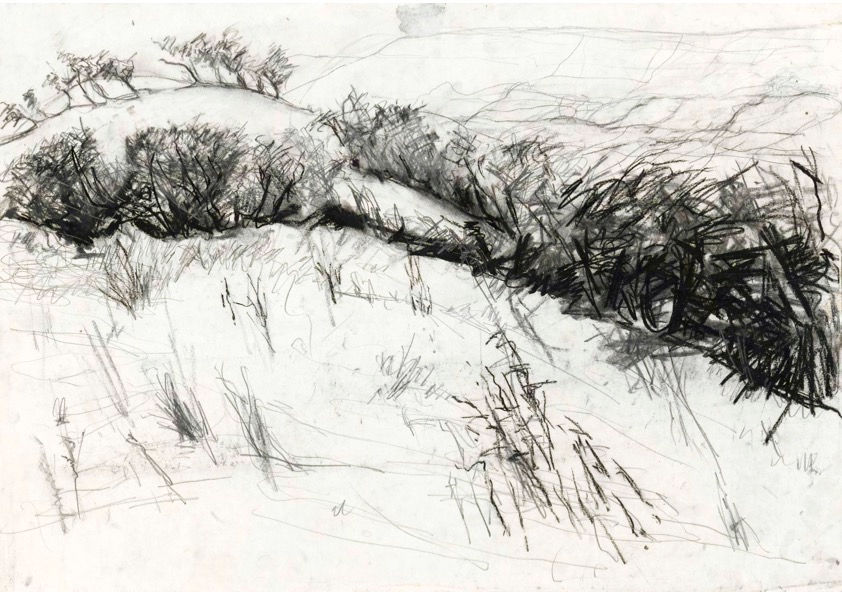 Little Black Hill, Craswell.jpg
