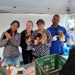 South Africa - Veterinary Clinic at Frasers