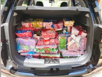 South Africa - Spreading Joy: Regional Christmas Seva Success